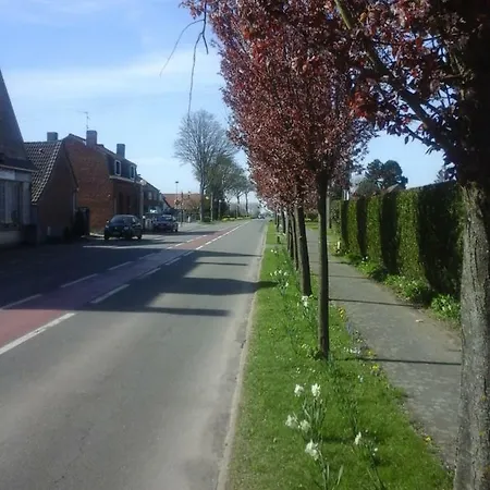 Nonque 2*